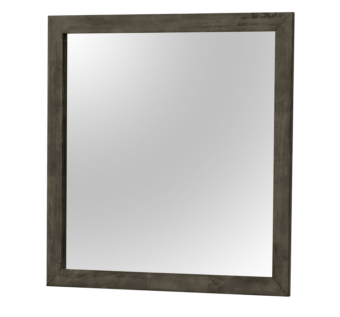 Modern Design Transitional Wall Mirror