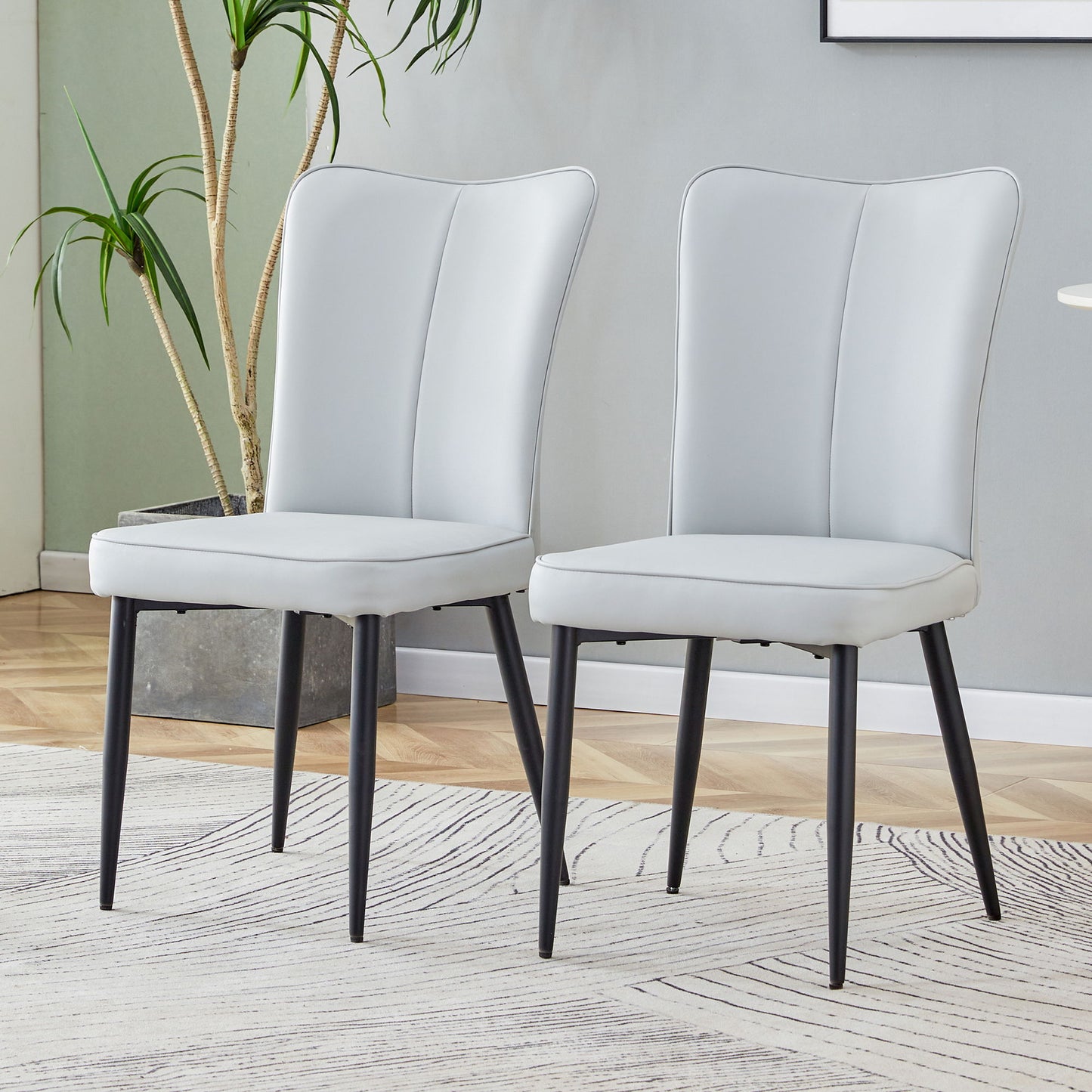Modern Minimalist Dining Chairs (Set of 2)