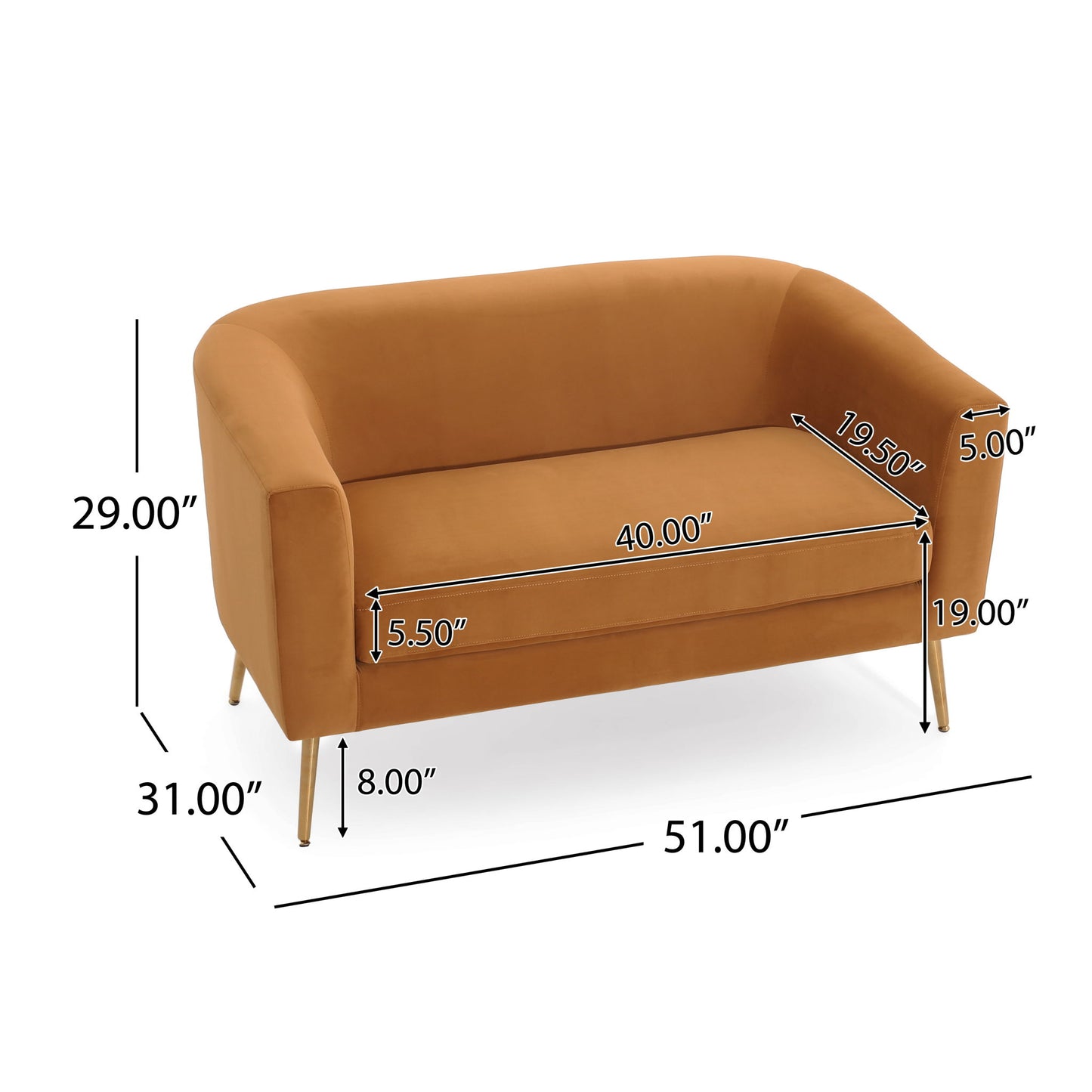 Modern Elegant Design Style Loveseat