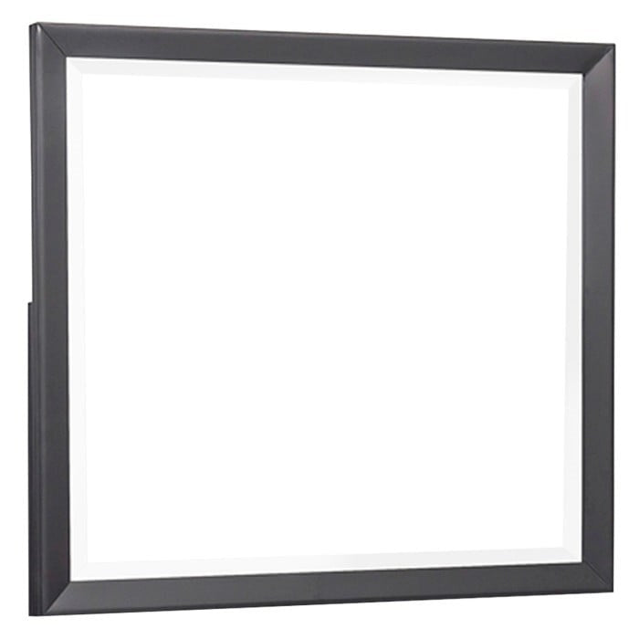 Contemporary Mirror with Beveled Edge