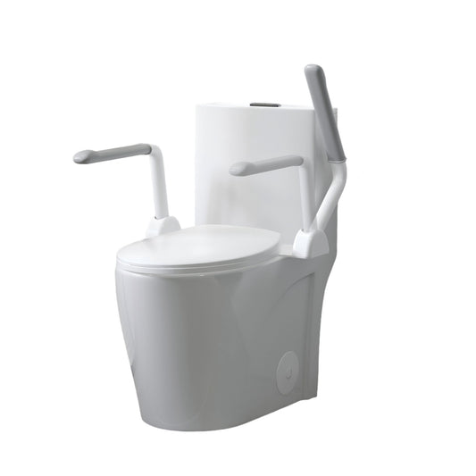 Upgraded Design Armrest, With Glossy Gw 007 1 Piece Toilet With Tornado Flush, Soft Close Seat, Dual Flush Map 1000G, Comfort Chair Seat - Gloss White