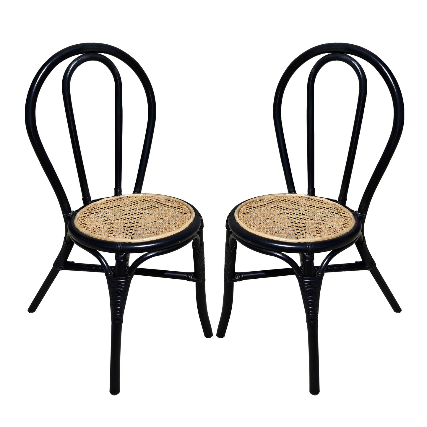 Rattan Dining Chair (Set of 2) - Black Multi
